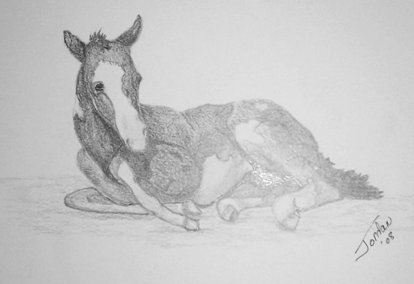Ponie two