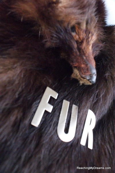 FUR