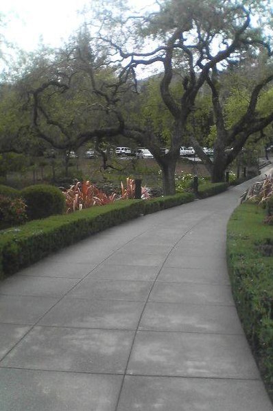 Chandon Winery