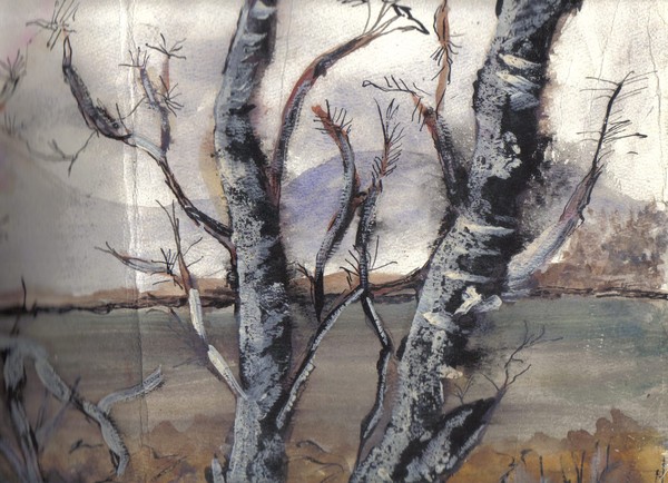 A Birch Winter