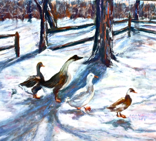 Ducks and Geese in Winter