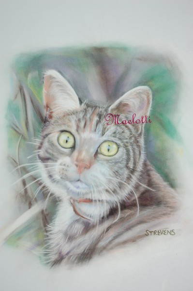 Tabbytha
