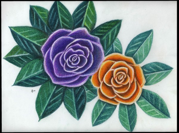 Two Roses