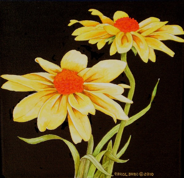 Yellow Daisies