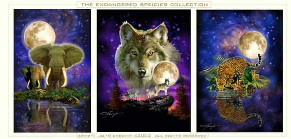 Endangered Species Collection