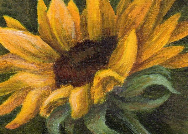 Golden Flower