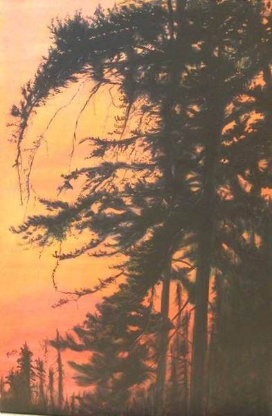 Sunrise Silhouette