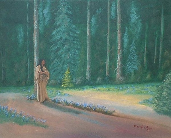 Bluebell Forest