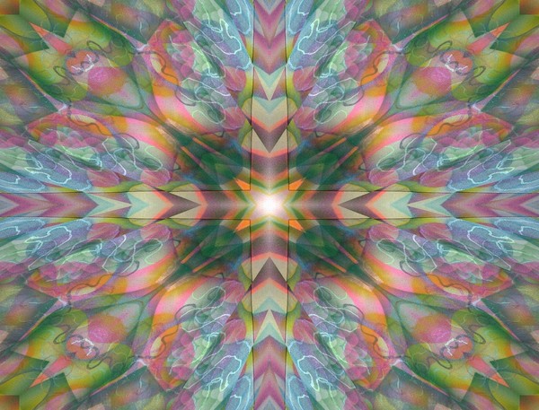 masking spiders 6