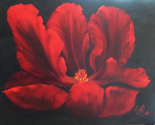 Red Beauty