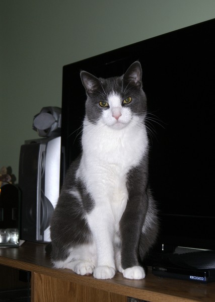 OMG!! Geez I'm Not Allowed To Do Anything!!!