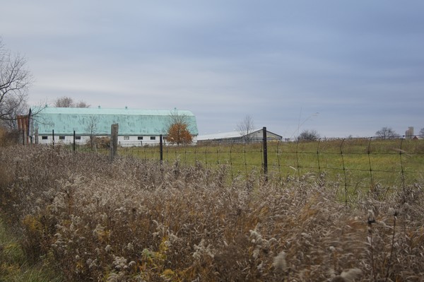 Barn
