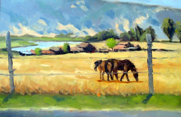 Grazers