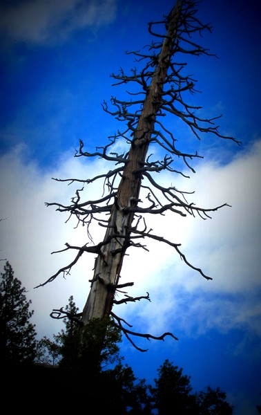 Reach high.