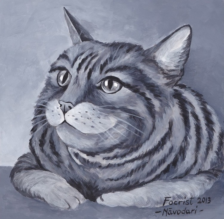 Tomcat
