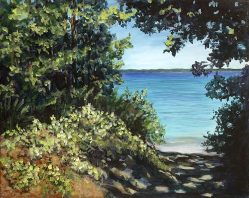 Lake Michigan View