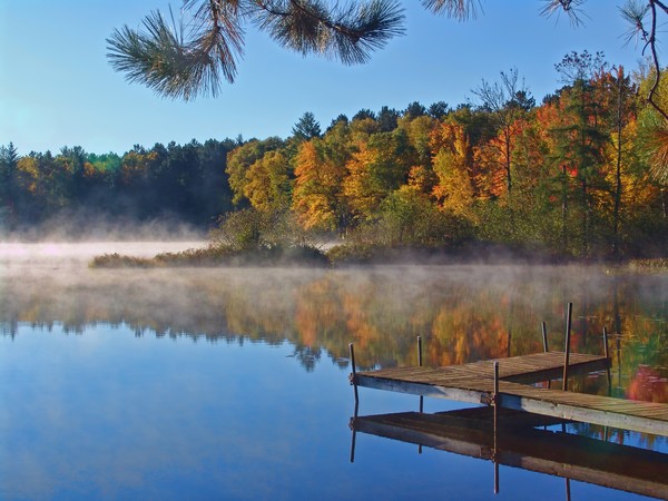 Autumn Mist