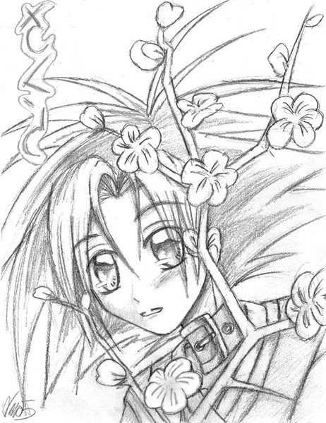Sakura Branches