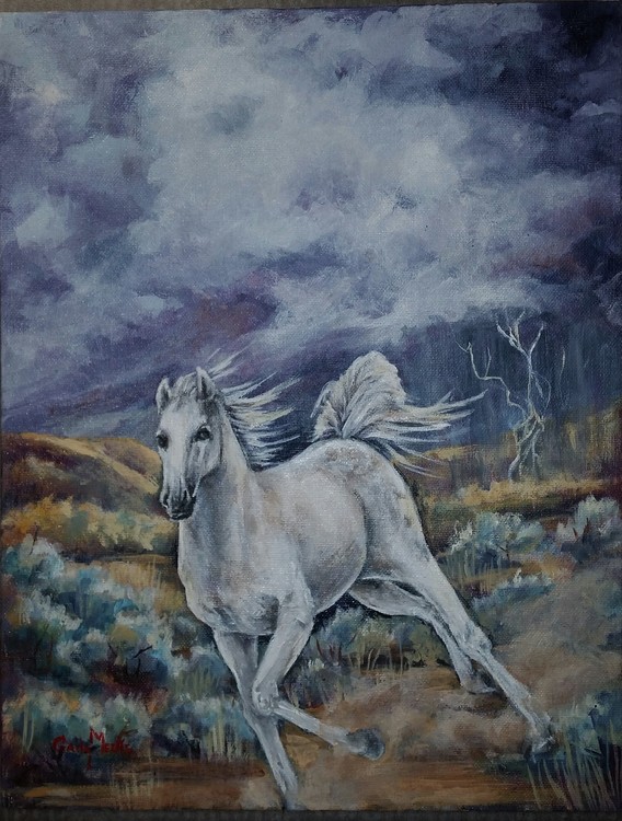 Storm Runner