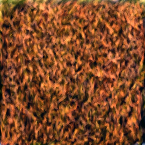 Chaos Vs 2