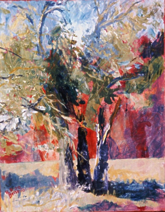 Hackberry Trees in August