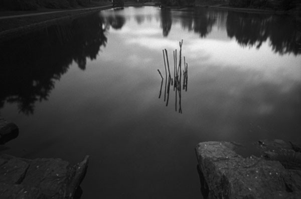 Norwegian water I
