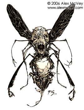 fly