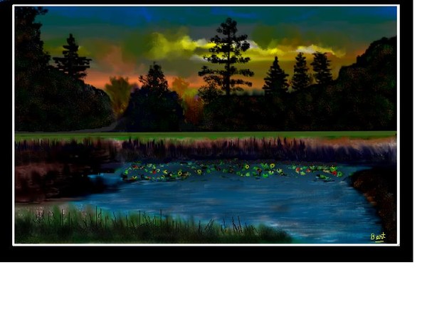 Llily Pond II