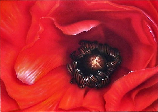 Red Flower 