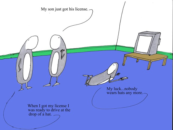 the drop of a hat