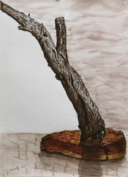 still life
