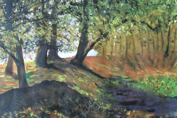 light through the trees