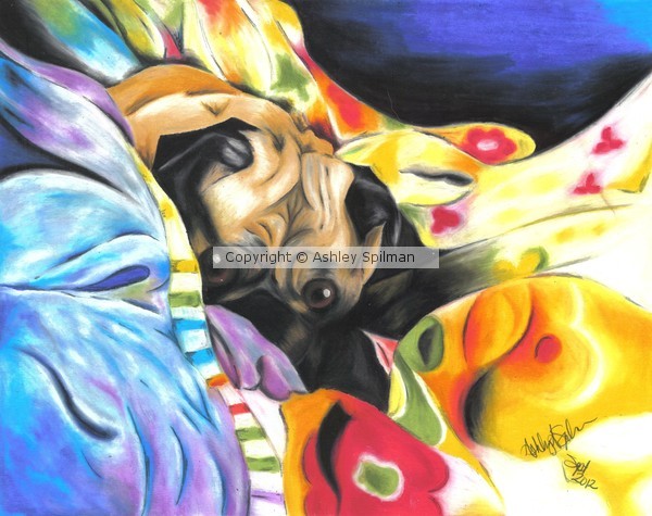 Enzo in Quilts