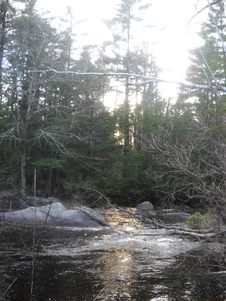 calming river 