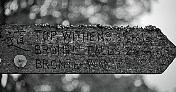visitors this way