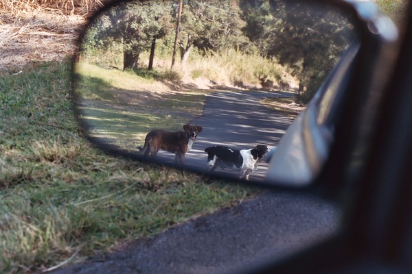 Watch Dogs