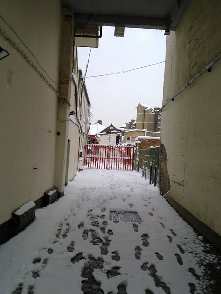 snow in the street