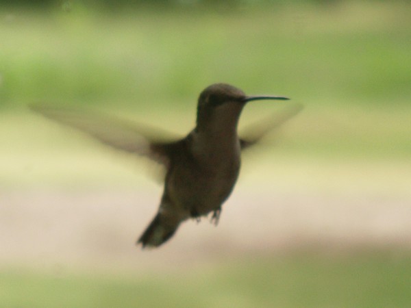 In Flight