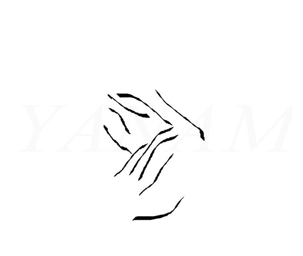 applause