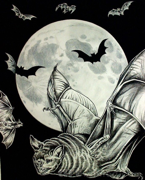 Night Flight