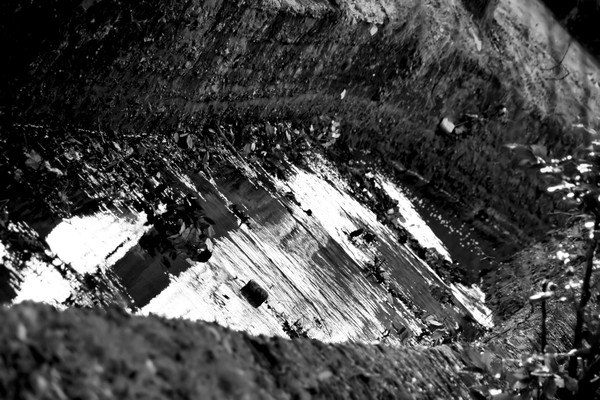 River Reflections