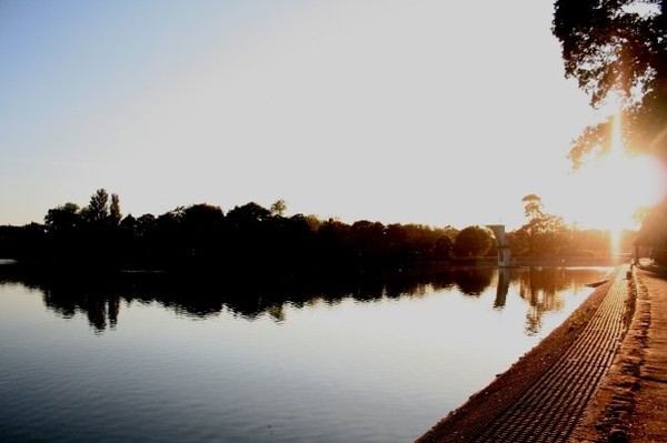 The Diving Board