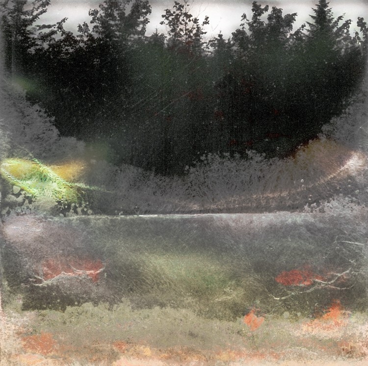 Amalgamated Fragmentation / Microbscape 12
