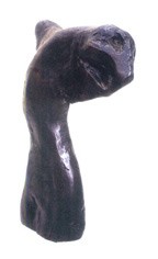 Caballo Agonico