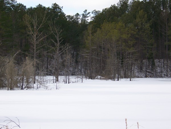 snow 005