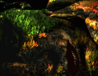 woman of grass