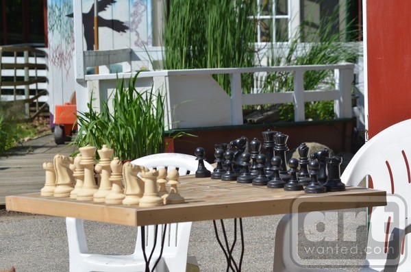 Chess Anyone