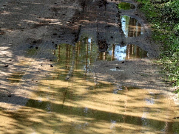 Shadows play