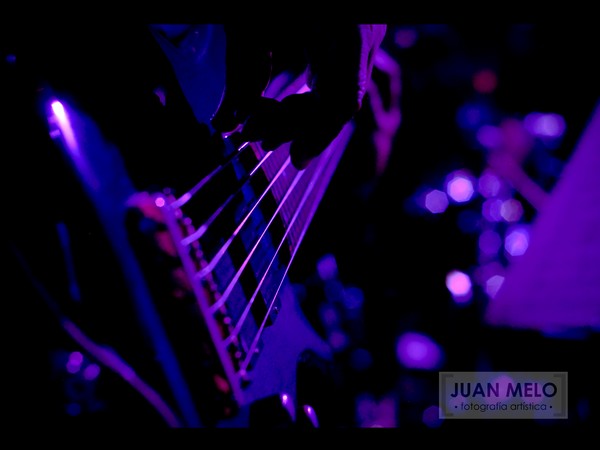 Bass