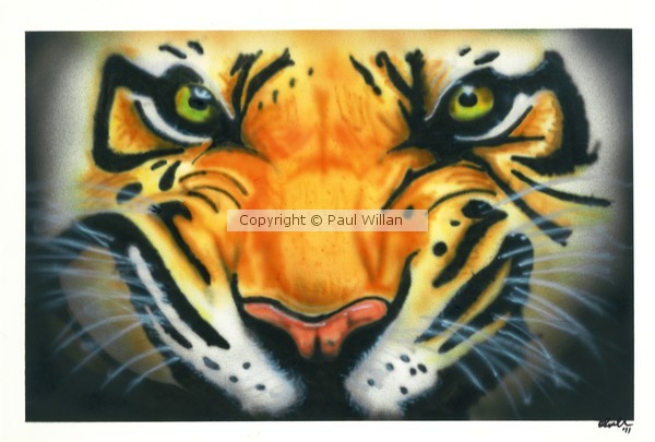 Tiger 